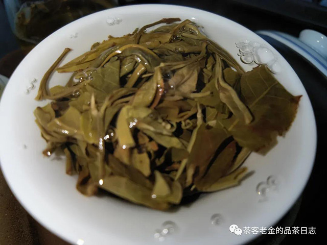 天顺号老班章茶王树