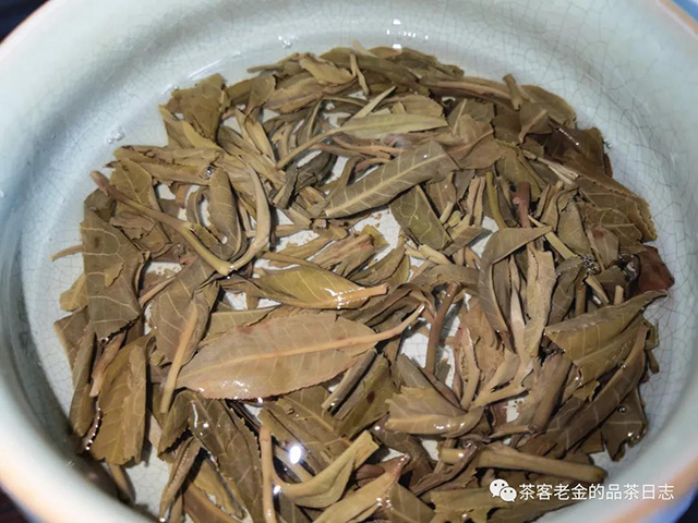 天顺号老班章茶王树