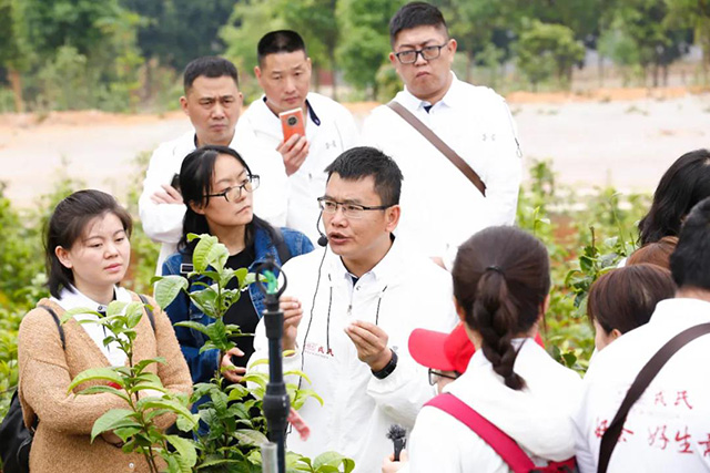 戎氏秋实节