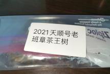 茶客老金的品茶日志：2021年老班章茶王树（天顺号）