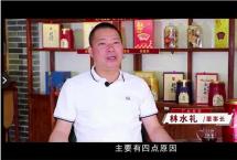 广云双宝林水礼：小青柑崛起的背后，有着精彩的故事！