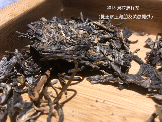 上海老茶人黄总提供的薄荷塘