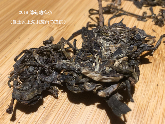 上海老茶人黄总提供的薄荷塘
