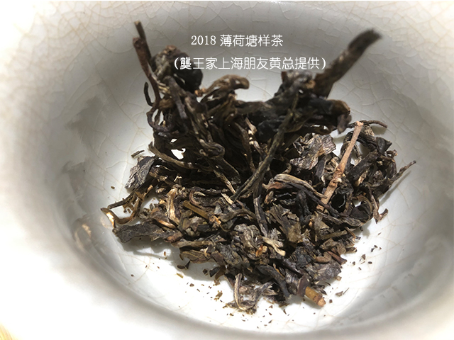 上海老茶人黄总提供的薄荷塘