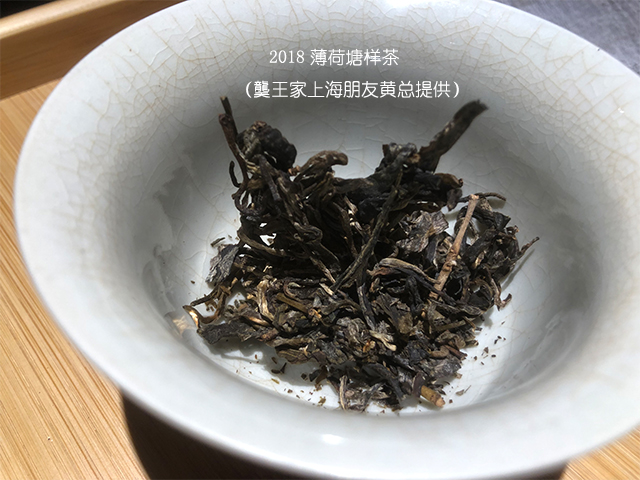 上海老茶人黄总提供的薄荷塘