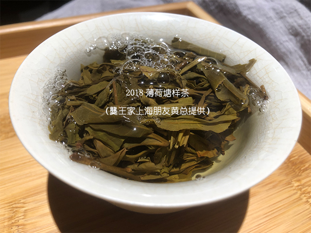 上海老茶人黄总提供的薄荷塘