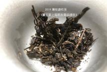 没有清凉感的薄荷塘？「2018薄荷塘」开汤品评实录