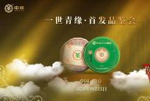 2021中茶八八青饼成为第十三届中国—东北亚博览会唯一指定商务用茶