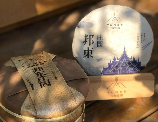 云柯庄园普洱茶