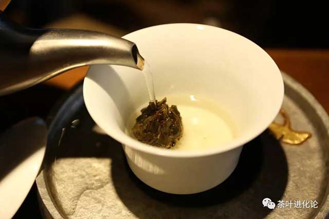 龙珠茶冲泡方法