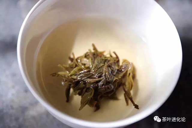 龙珠茶冲泡方法