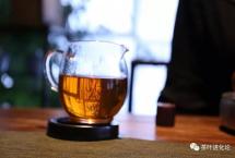 茶叶进化论：当我们在追老茶的时候，我们在追什么？