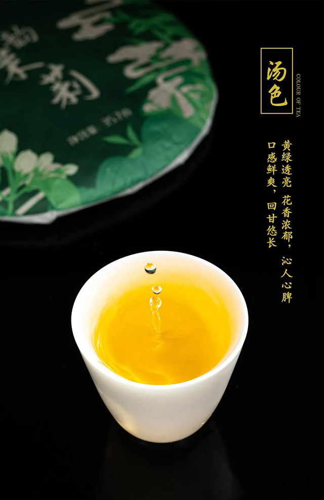 龙润茶香韵茉莉