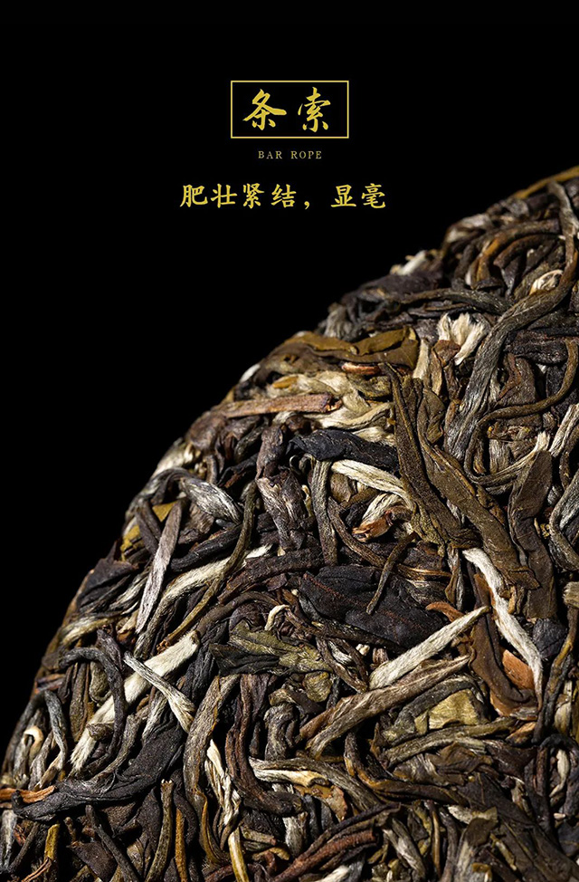 龙润茶香韵茉莉