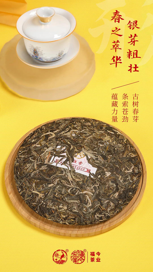 福今2021年老班章