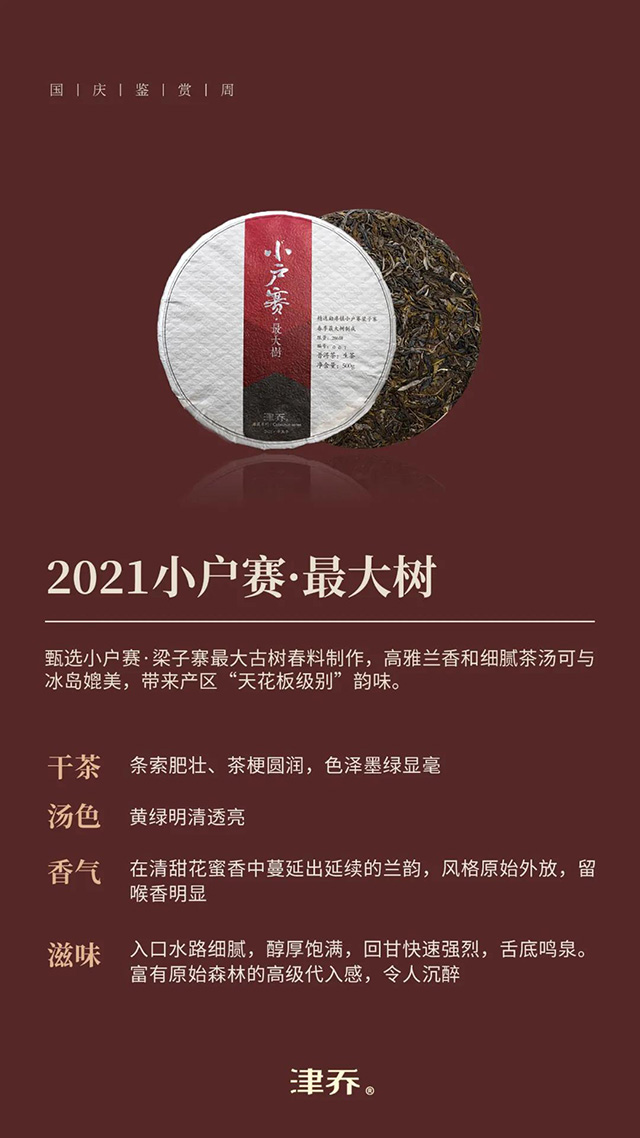 津乔小户赛最大树普洱茶