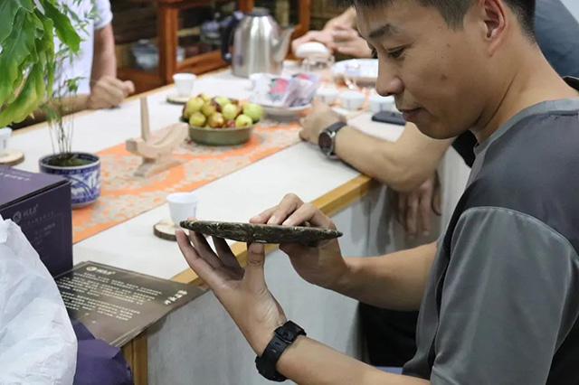 陆羽班章品鉴会