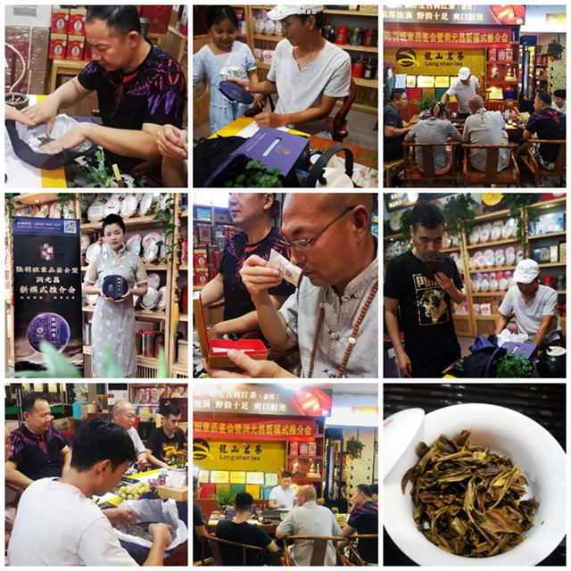 陆羽班章品鉴会