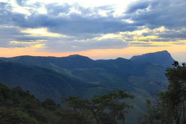 古六大茶山