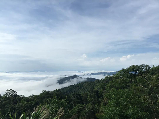 古六大茶山