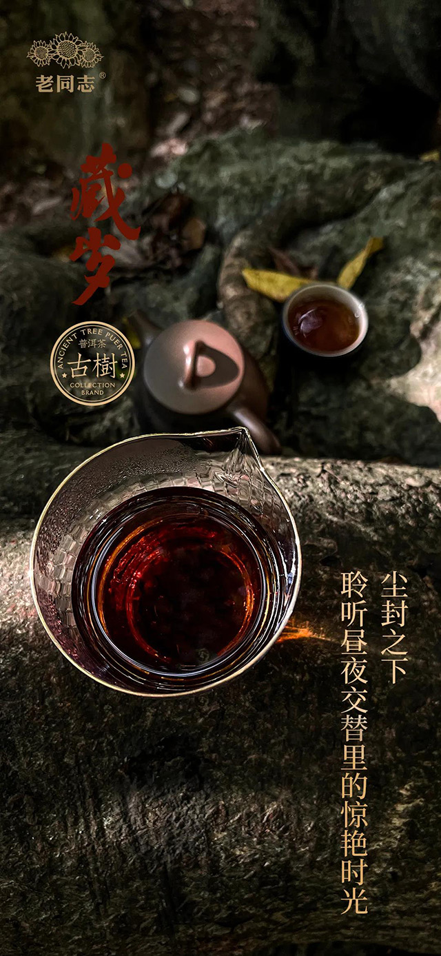 老同志藏岁熟茶