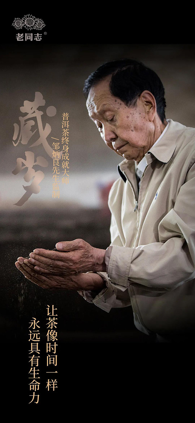 老同志藏岁熟茶