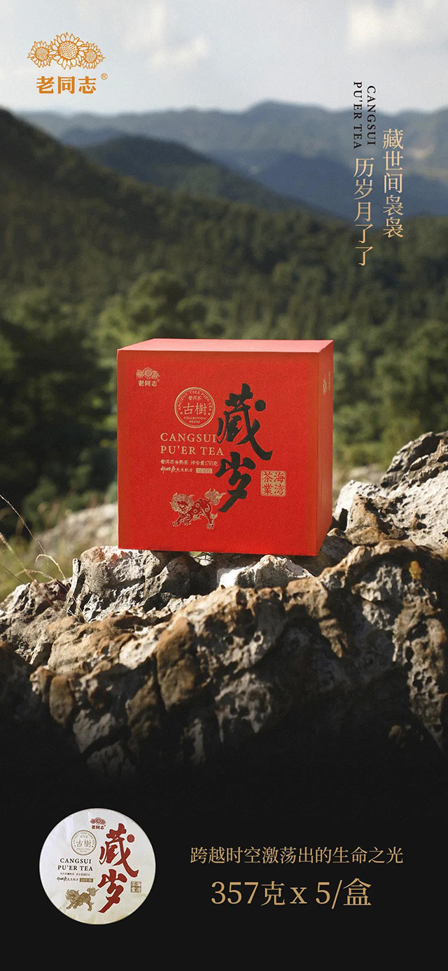 老同志藏岁熟茶