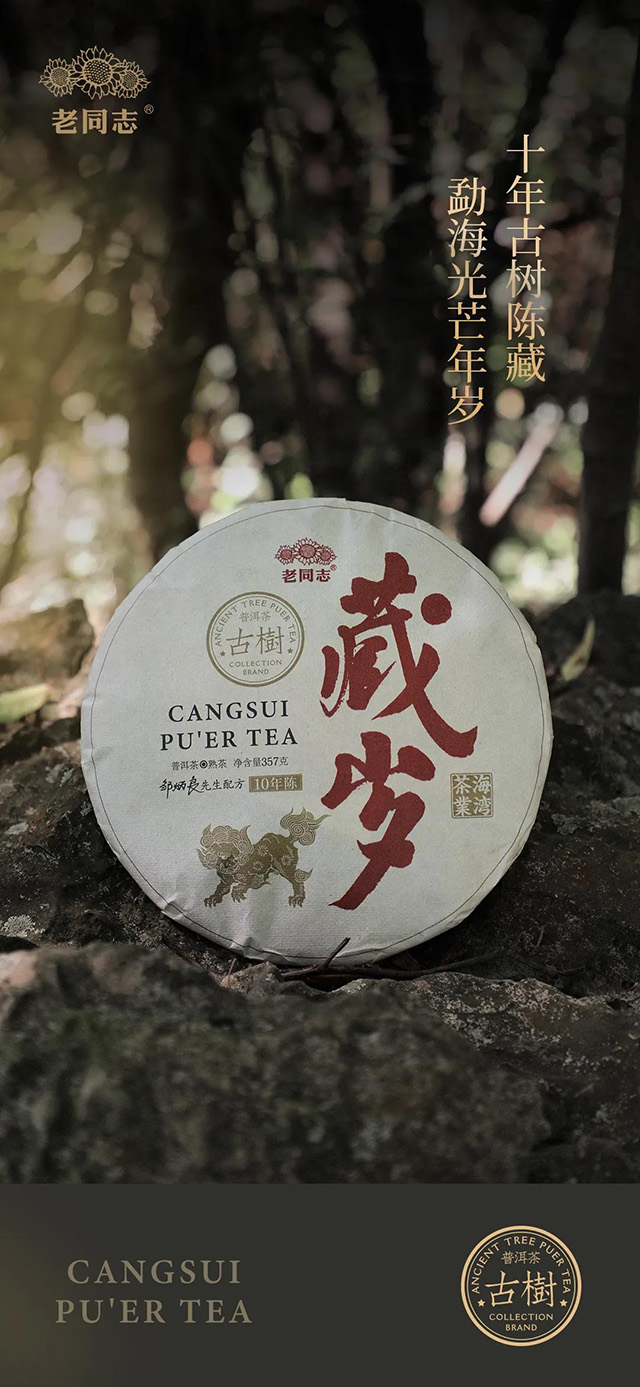 老同志藏岁熟茶