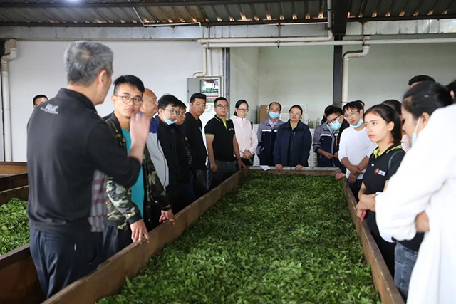 中茶云南2021年茶园基地管理培训班