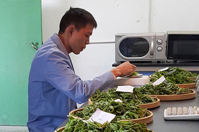 勐库戎氏茶业