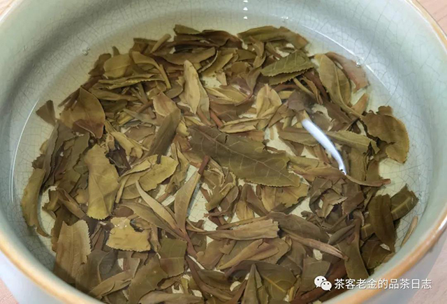 茗寿堂奇物大观普洱茶