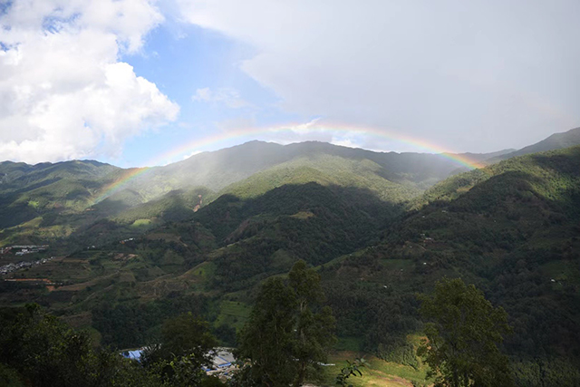 马哲峰普洱寻茶记