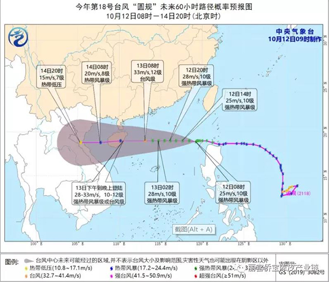 丽宫侨宝陈皮