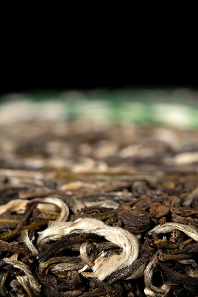 龙润茶香韵茉莉