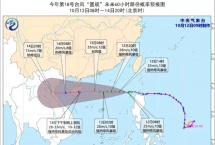 双台风来袭后，看侨宝怎么养护新会柑？