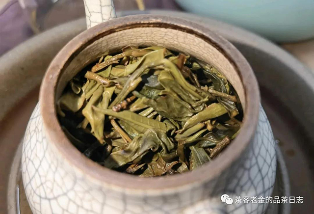 曼松古树普洱茶