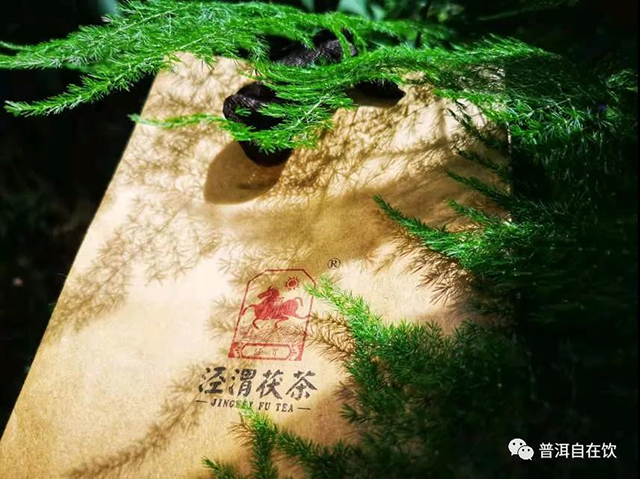泾渭茯茶