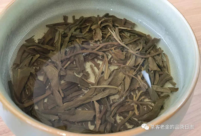 吾茶共饮寓言普洱茶