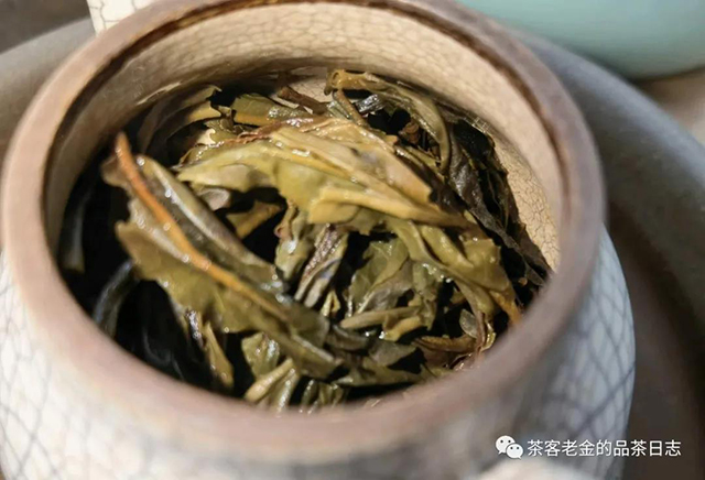 吾茶共饮寓言普洱茶