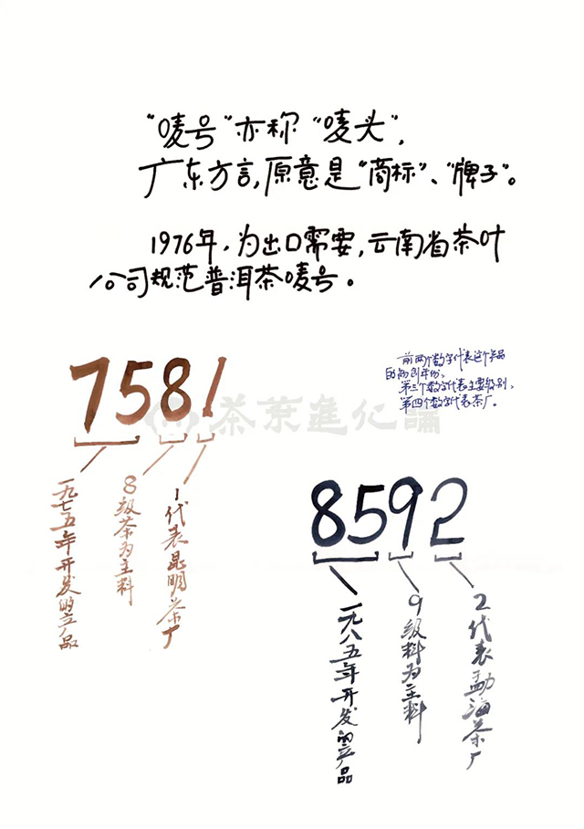 茶叶进化论