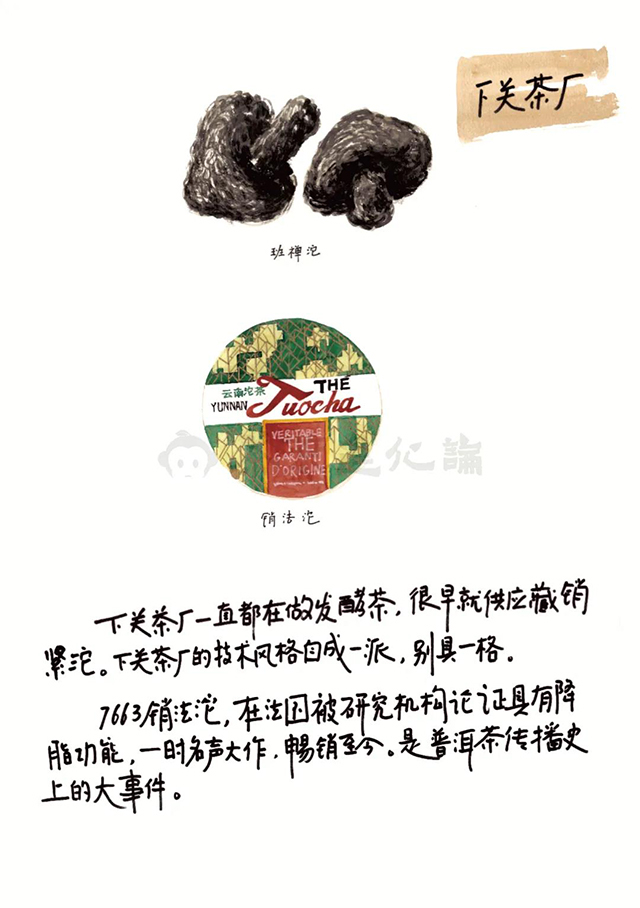 茶叶进化论
