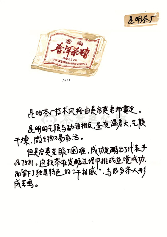 茶叶进化论