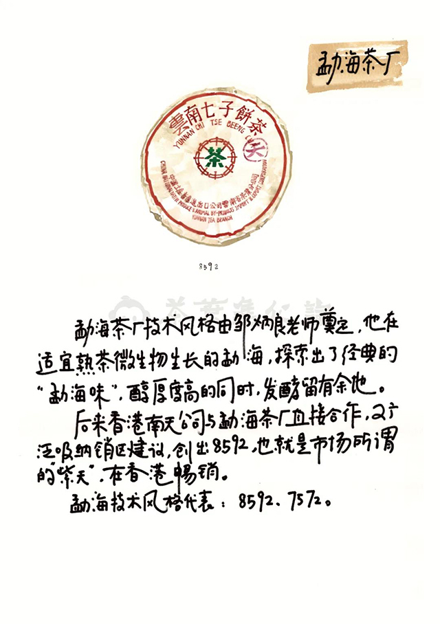 茶叶进化论