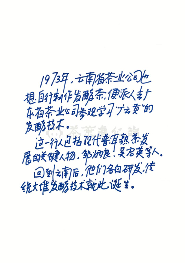 茶叶进化论