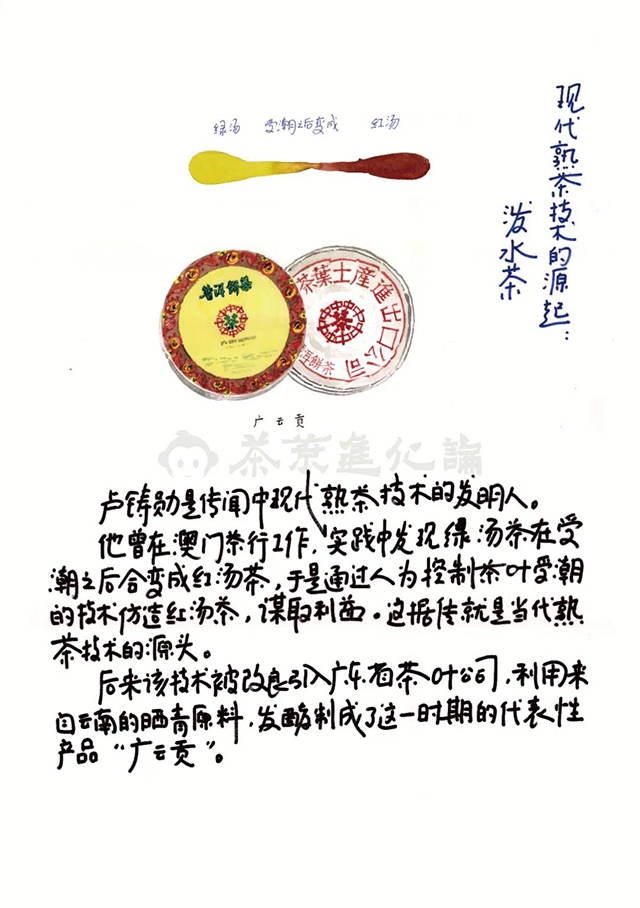 茶叶进化论