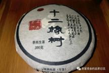 茶客老金的品茶日志：佤山茶人2011年“十二橡树”邦崴单株