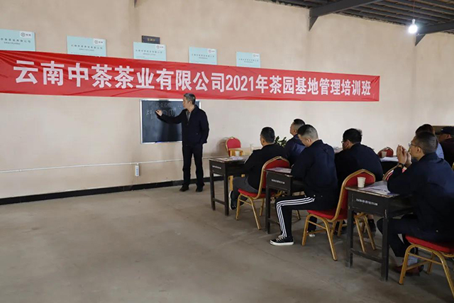 中茶云南公司在勐海举办茶园基地管理培训班