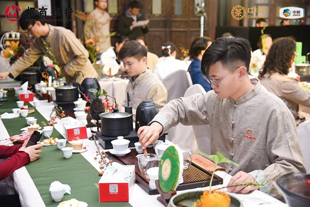 中茶八八青饼品鉴会