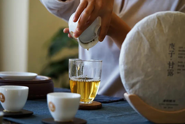 普洱茶饼窝窝