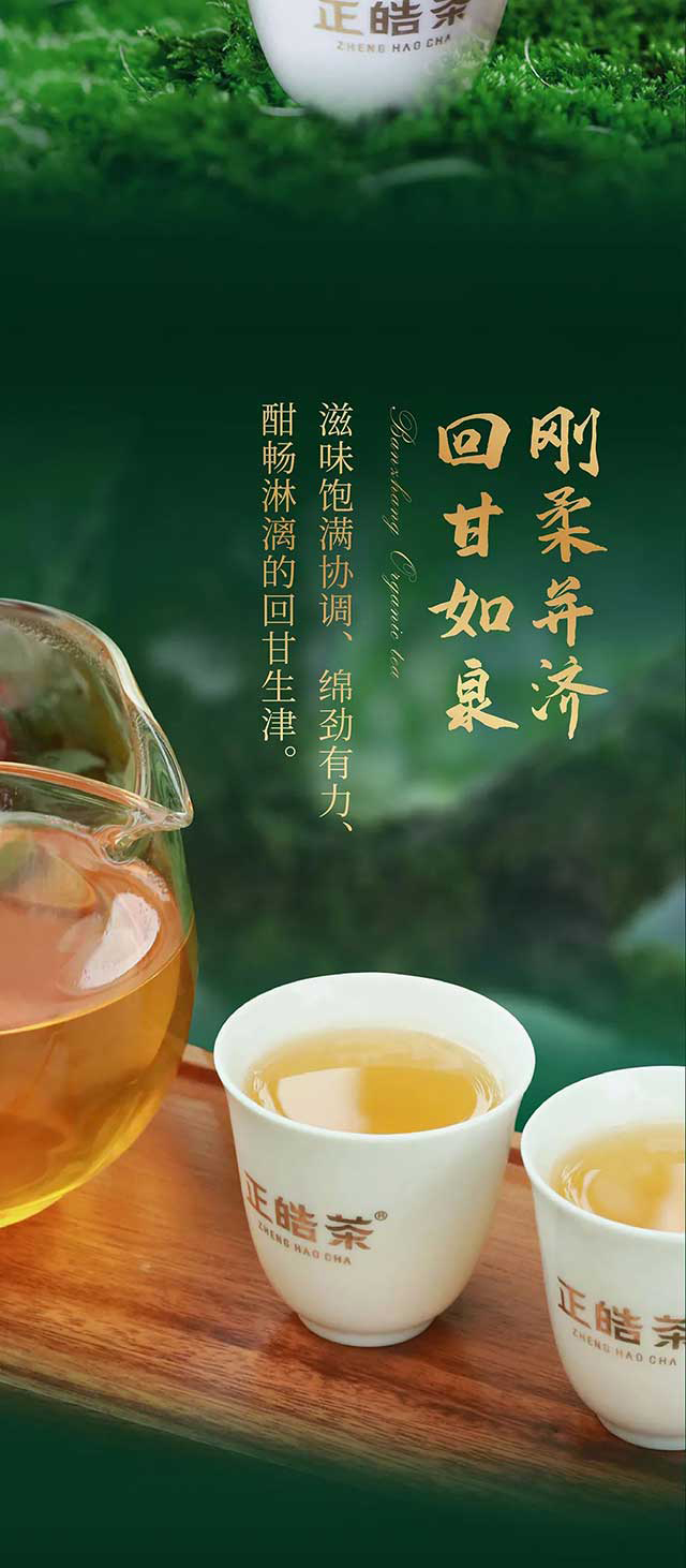 正皓茶班章有机茶